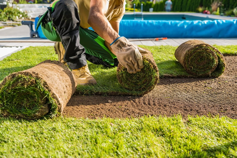 Large Rolls of Natural Grass Turfs Being Installed Inside a Backyard Garden