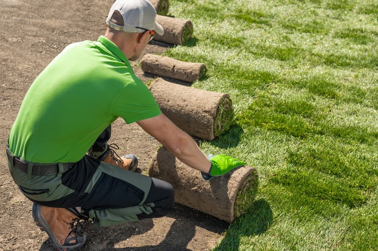 Gardener is carefully laying down grass on a lawn. Installing Grass Turfs