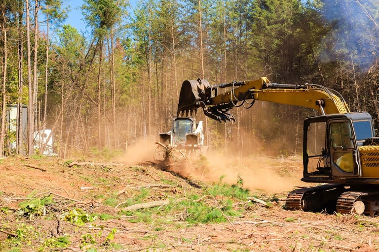 Excavators bulldozers remove trees debris from forested site