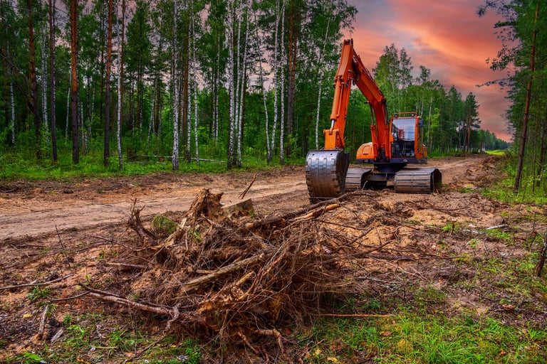 Excavator clearing forest for new development